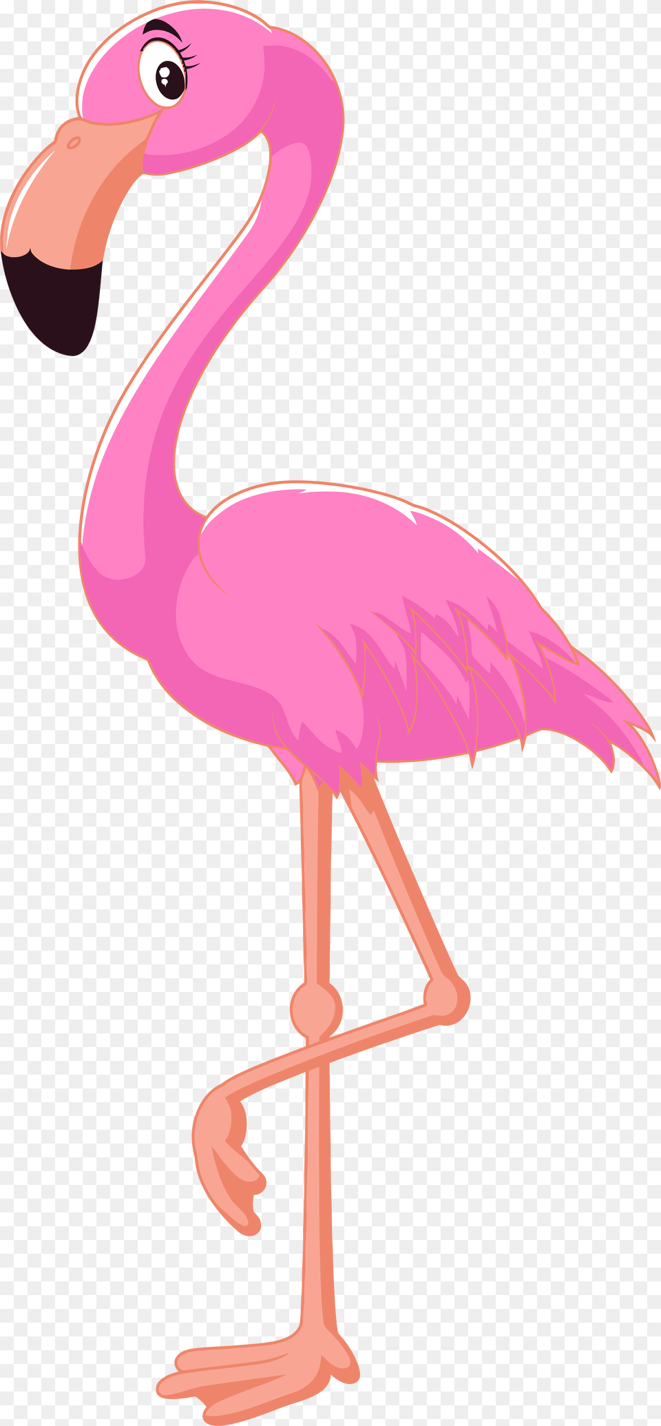 Pink Flamingo Clipart, Animal, Bird, Beak Png