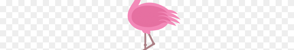 Pink Flamingo Clipart Flamingo Clip Art, Animal, Bird, Baby, Person Free Png