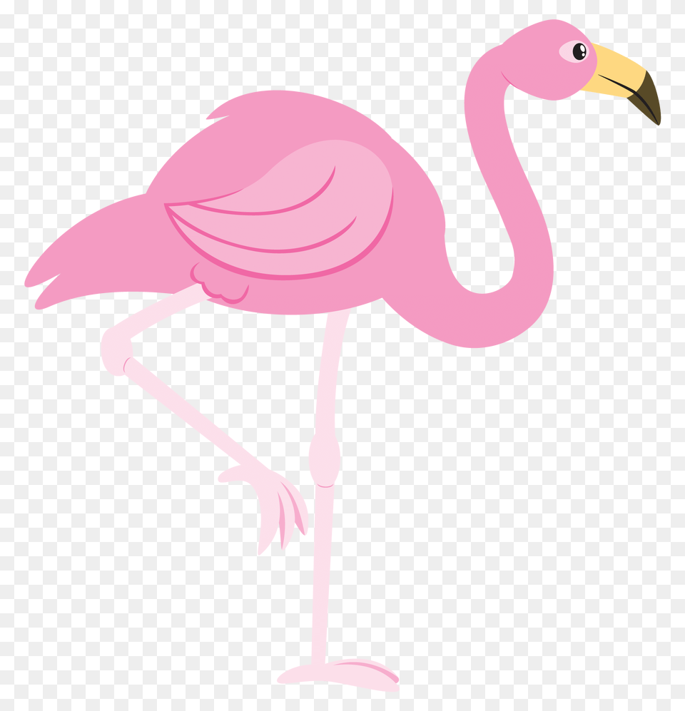 Pink Flamingo Cliparts, Animal, Bird Free Png