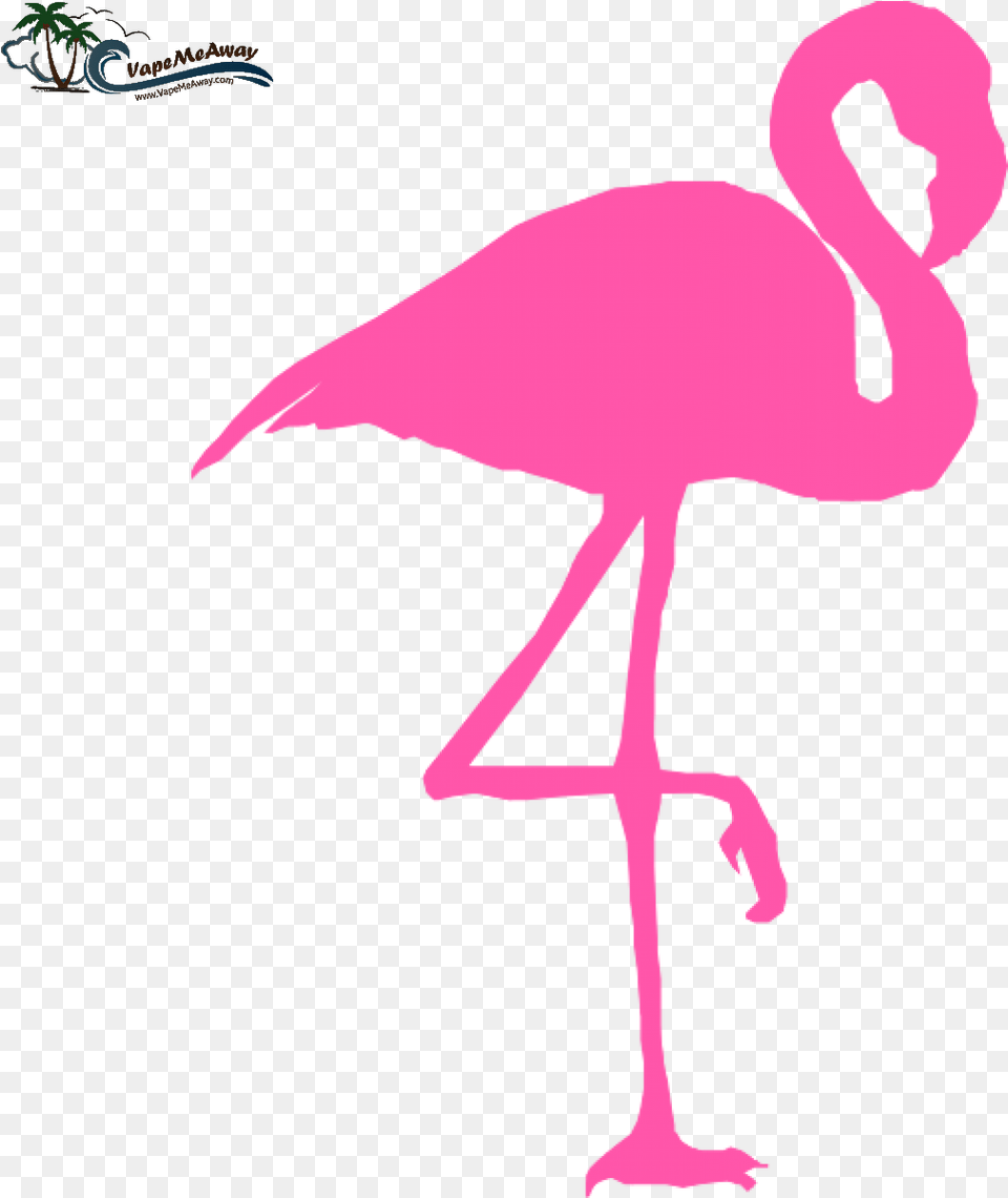 Pink Flamingo Cliparts Co Clipart Flamingo, Animal, Bird, Person Free Transparent Png