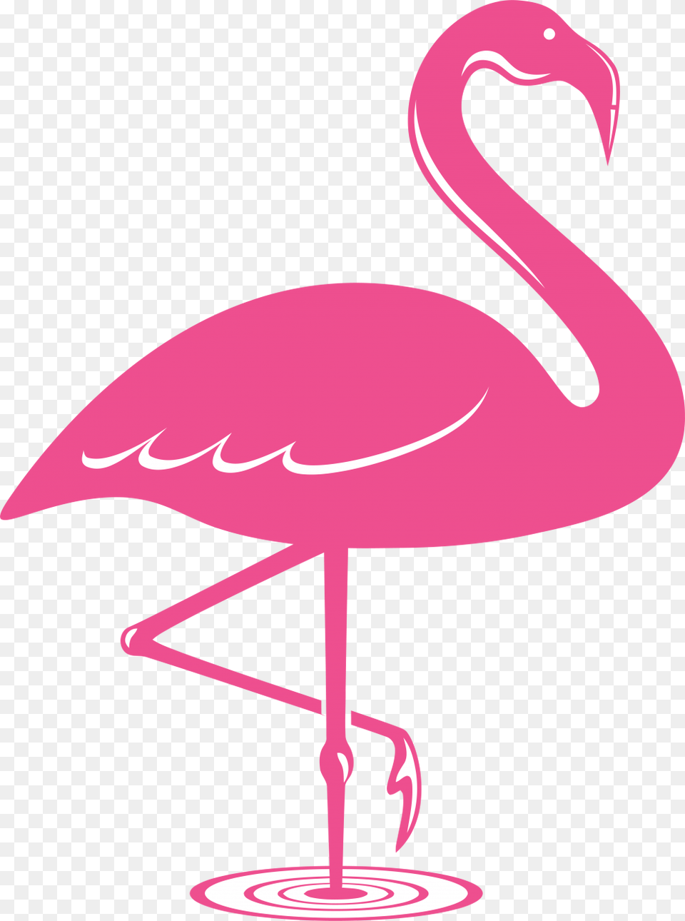 Pink Flamingo Flamingo Icon, Animal, Bird, Fish, Sea Life Png Image