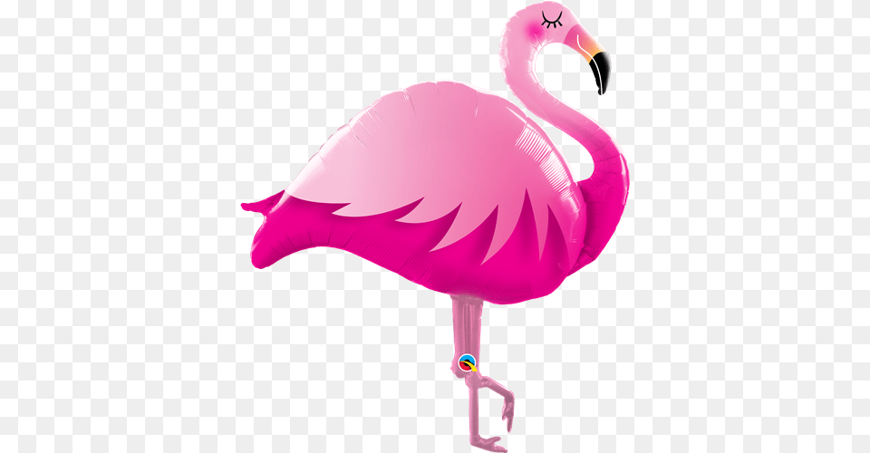 Pink Flamingo Foil, Animal, Bird, Appliance, Blow Dryer Free Png Download