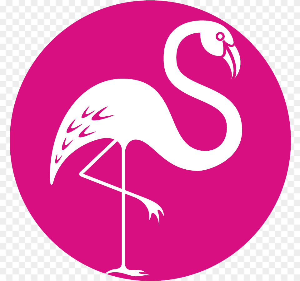 Pink Flamingo Hospitality Certification Pink Flamingo Logo Flamingo, Animal, Bird, Disk Png Image