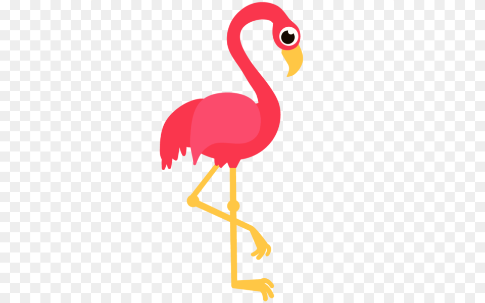 Pink Flamingo Images, Animal, Bird Free Png