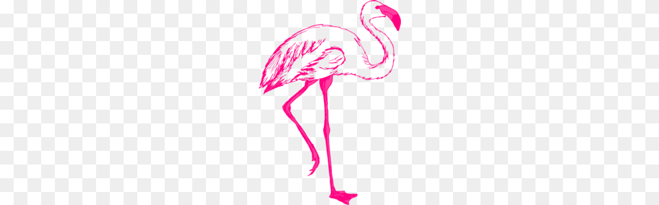 Pink Flamingo Outline Clip Art, Animal, Bird, Adult, Female Png Image