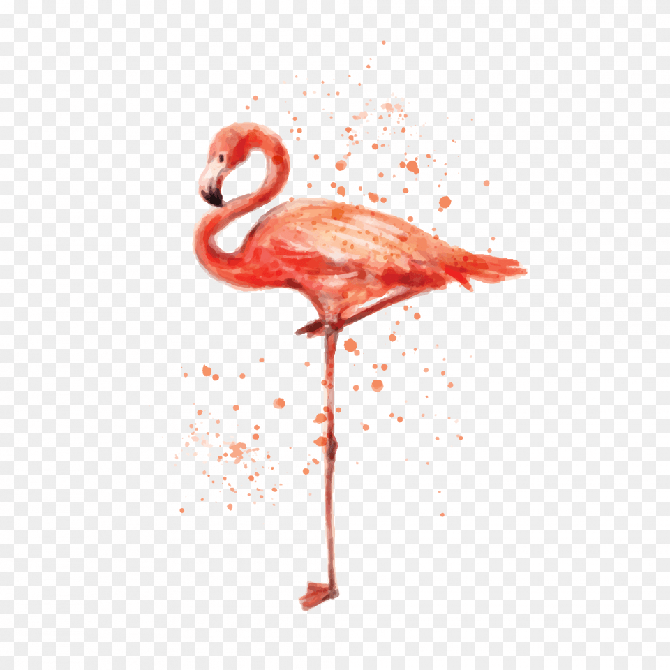 Pink Flamingo Pink, Animal, Bird Free Transparent Png