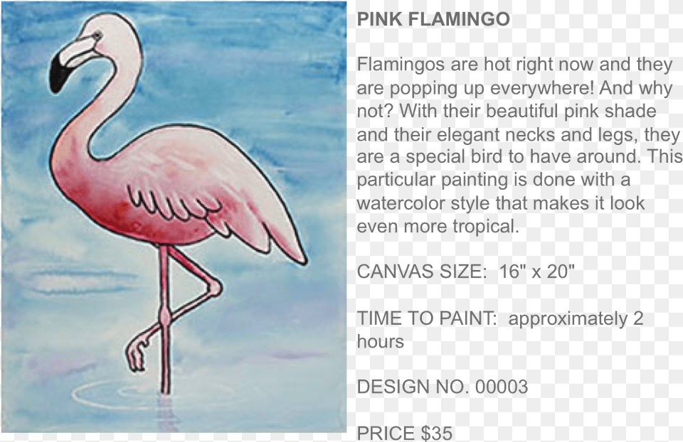 Pink Flamingo Popup Paint Studio Greater Flamingo, Animal, Bird Free Png