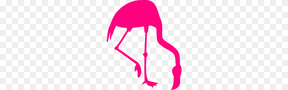 Pink Flamingo Silhouette Clip Art, Animal, Bird, Fish, Sea Life Free Transparent Png