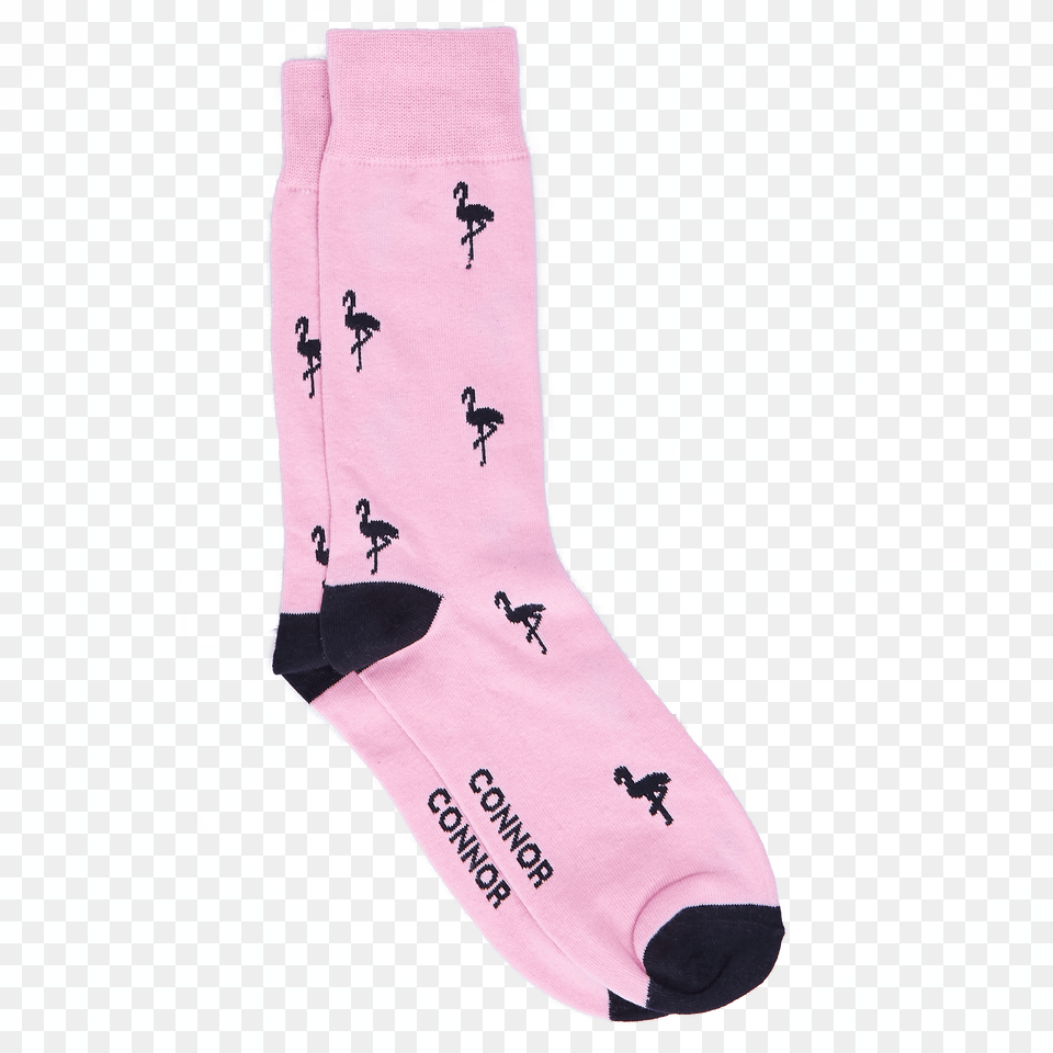 Pink Flamingo Sock Sock Free Png