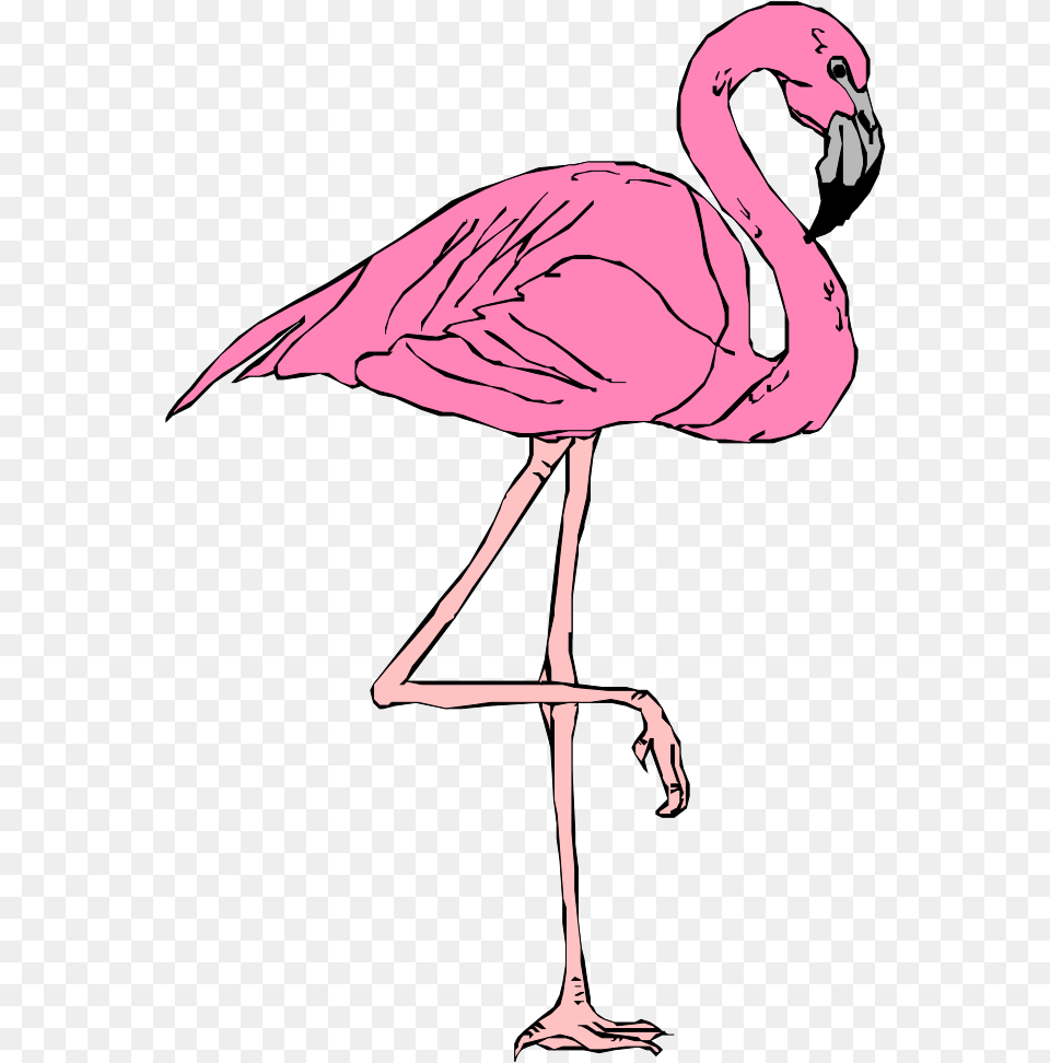 Pink Flamingo Svg Clip Art For Web Roblox T Shirt Background, Animal, Bird, Adult, Female Free Transparent Png