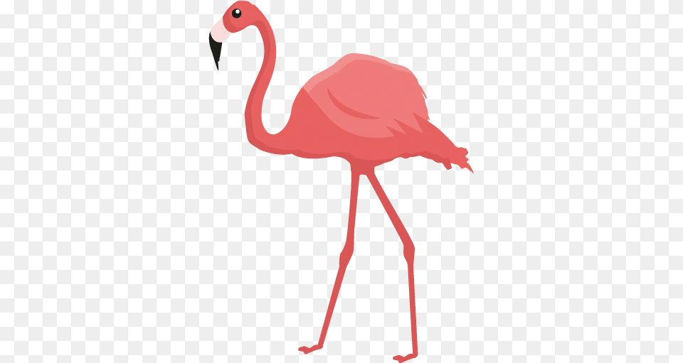 Pink Flamingo Wall Art Sticker, Animal, Bird Free Png Download