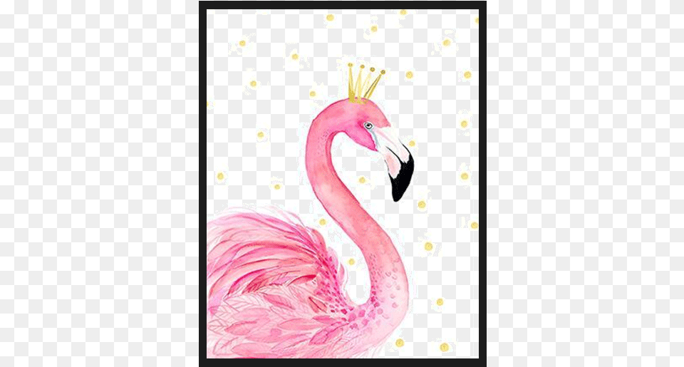 Pink Flamingo With Crown Poster, Animal, Beak, Bird Png