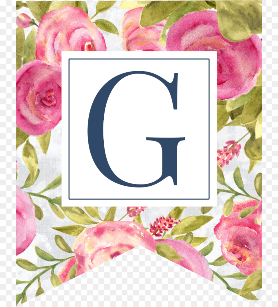 Pink Floral Rose Banner Flag With G In White Box Garden Roses, Flower, Plant, Art, Graphics Png Image