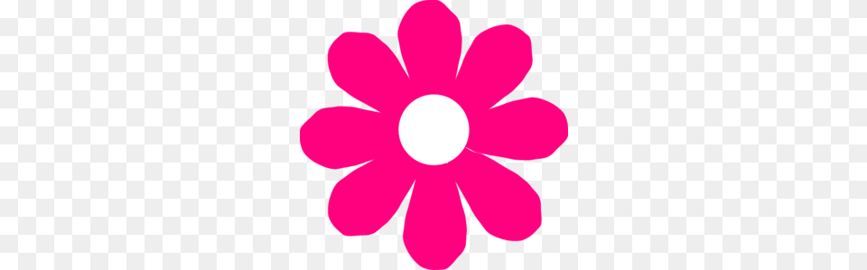 Pink Flower, Anemone, Daisy, Petal, Plant Free Transparent Png