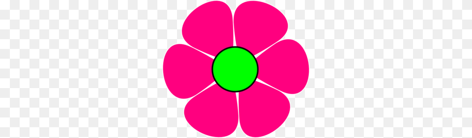 Pink Flower, Anemone, Daisy, Petal, Plant Free Png