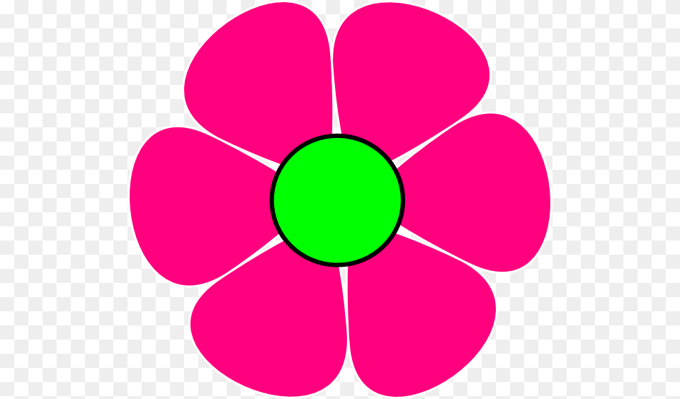 Pink Flower, Anemone, Plant, Daisy, Petal Png Image