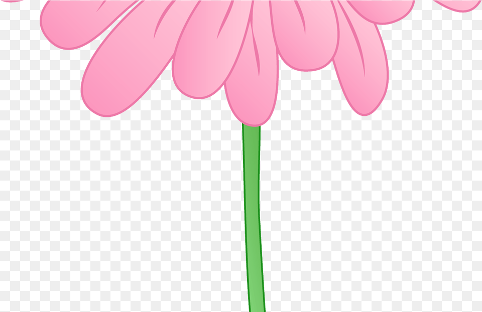 Pink Flower Border Clipart Clipart Panda Clipart, Daisy, Petal, Plant, Dahlia Free Png Download