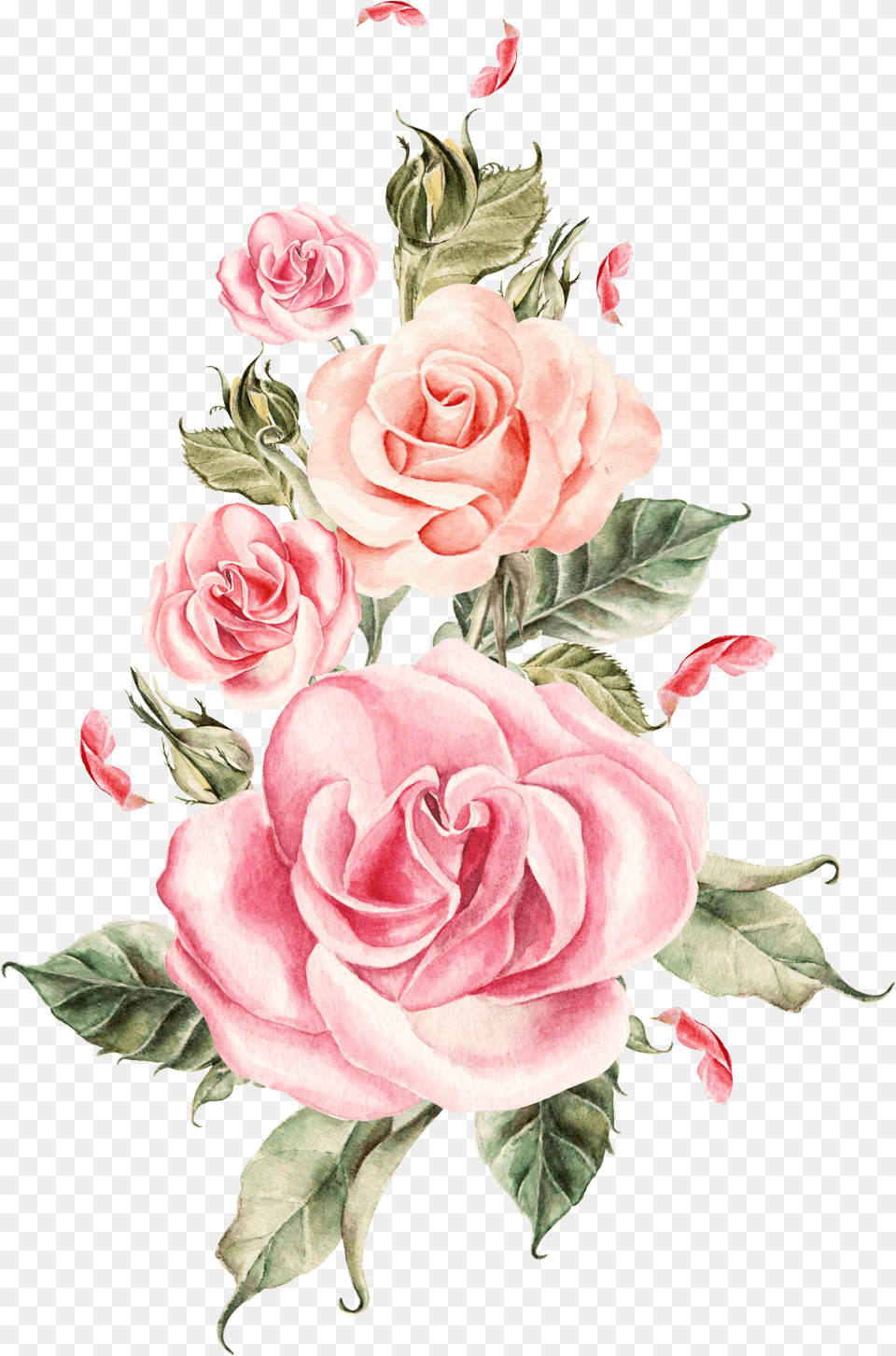 Pink Flower Bouquet Rose Roses Wedding Hand Painted Rose Pink Flower Free Png