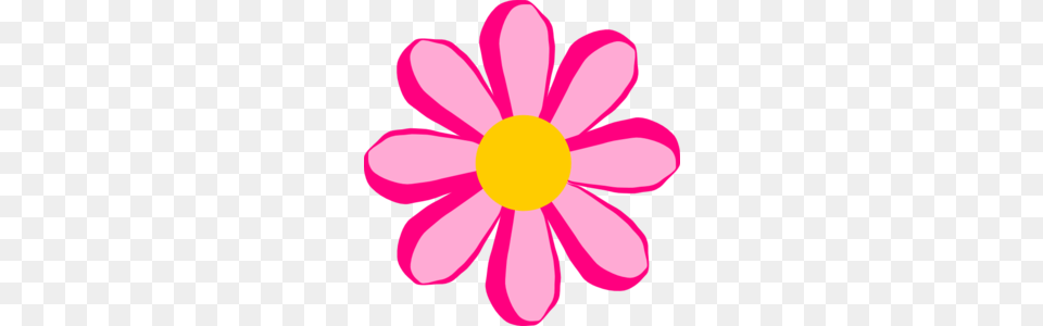 Pink Flower Clip Art, Daisy, Petal, Plant, Anemone Free Png