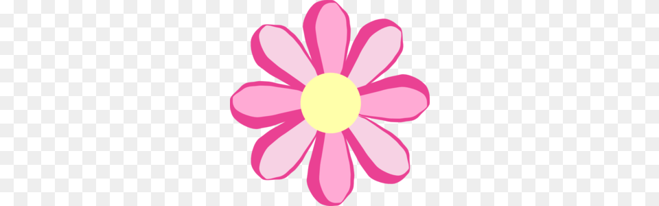 Pink Flower Clip Art, Anemone, Daisy, Petal, Plant Png Image