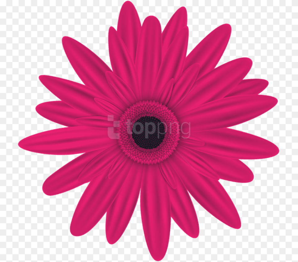 Pink Flower Clip Art Pink Flowers Clip Art Free Download, Daisy, Plant, Petal Png Image