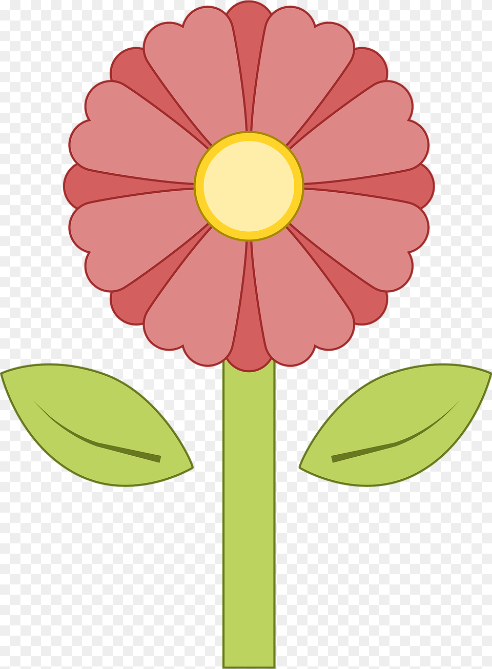 Pink Flower Clipart, Daisy, Petal, Plant, Dahlia Png