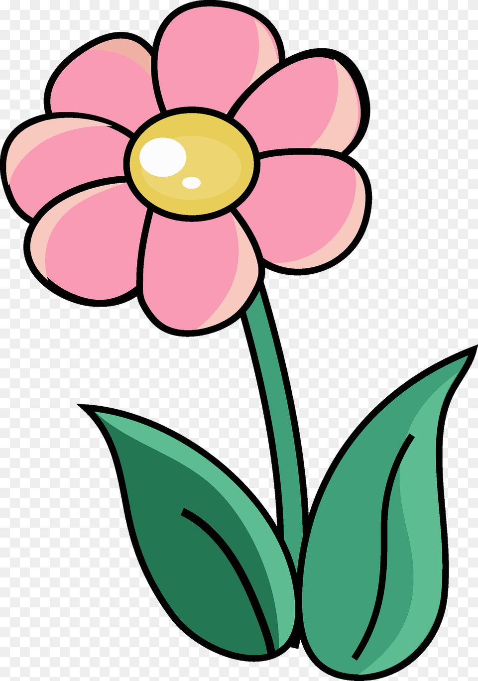 Pink Flower Clipart, Daisy, Petal, Plant, Dynamite Png