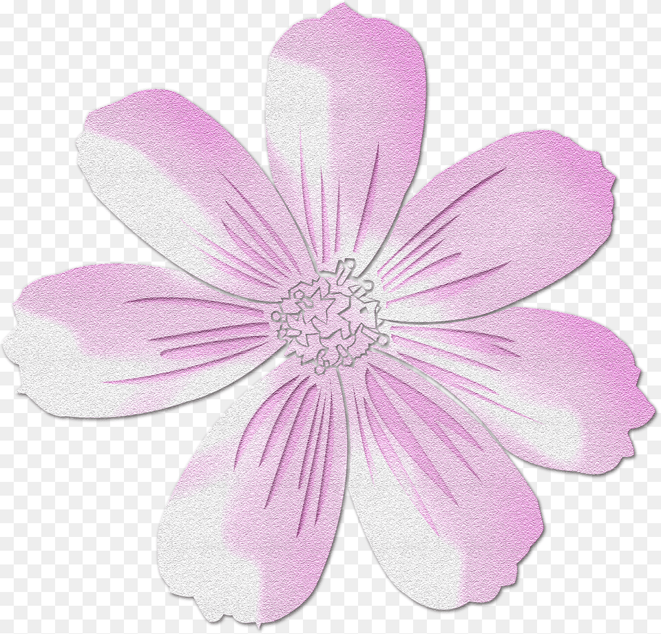 Pink Flower Clipart, Anemone, Anther, Daisy, Petal Png