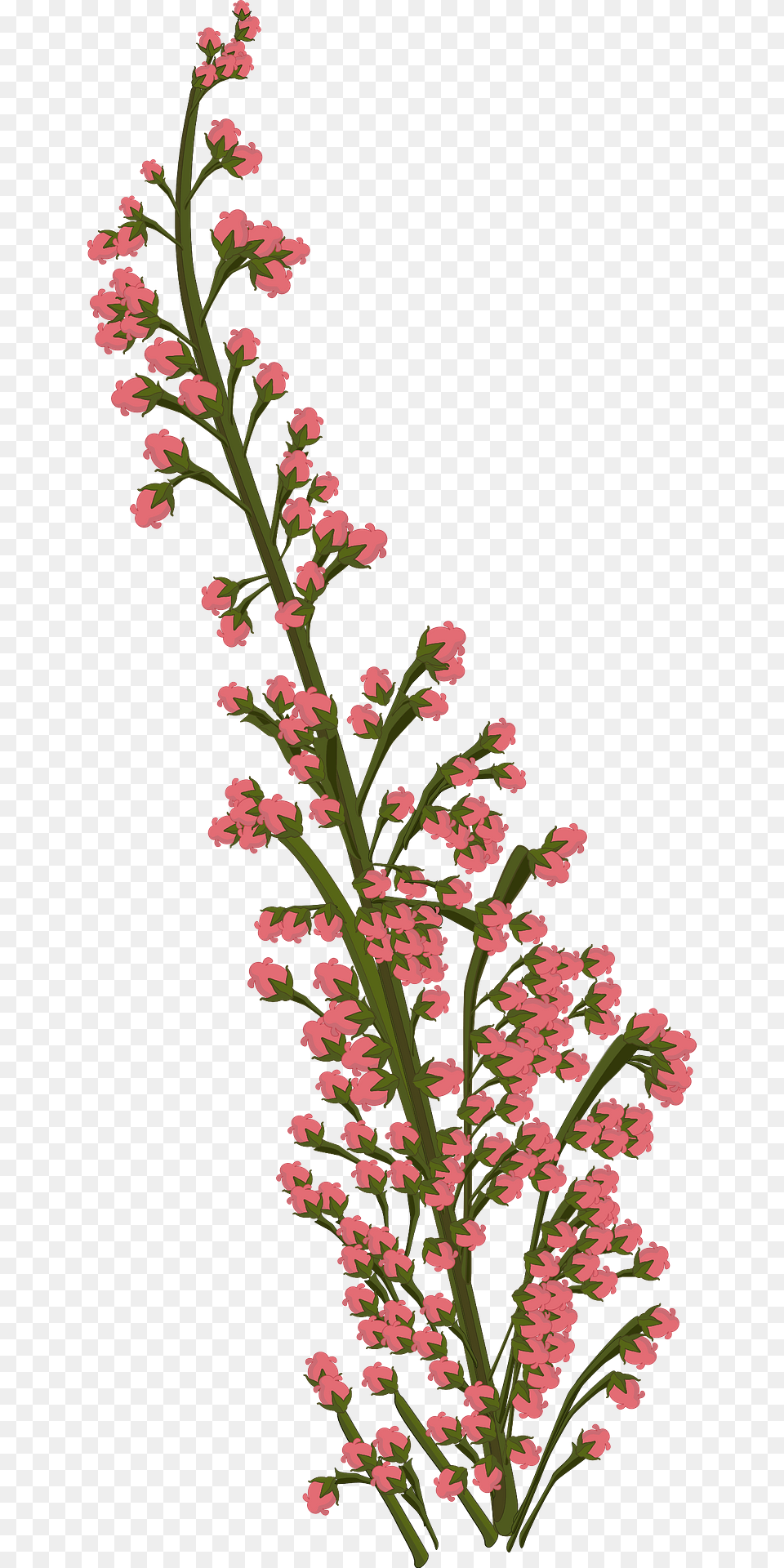 Pink Flower Clipart, Pattern, Plant, Art, Graphics Png Image