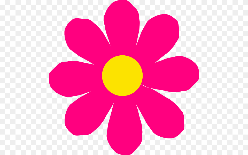 Pink Flower Clipart, Anemone, Daisy, Petal, Plant Png