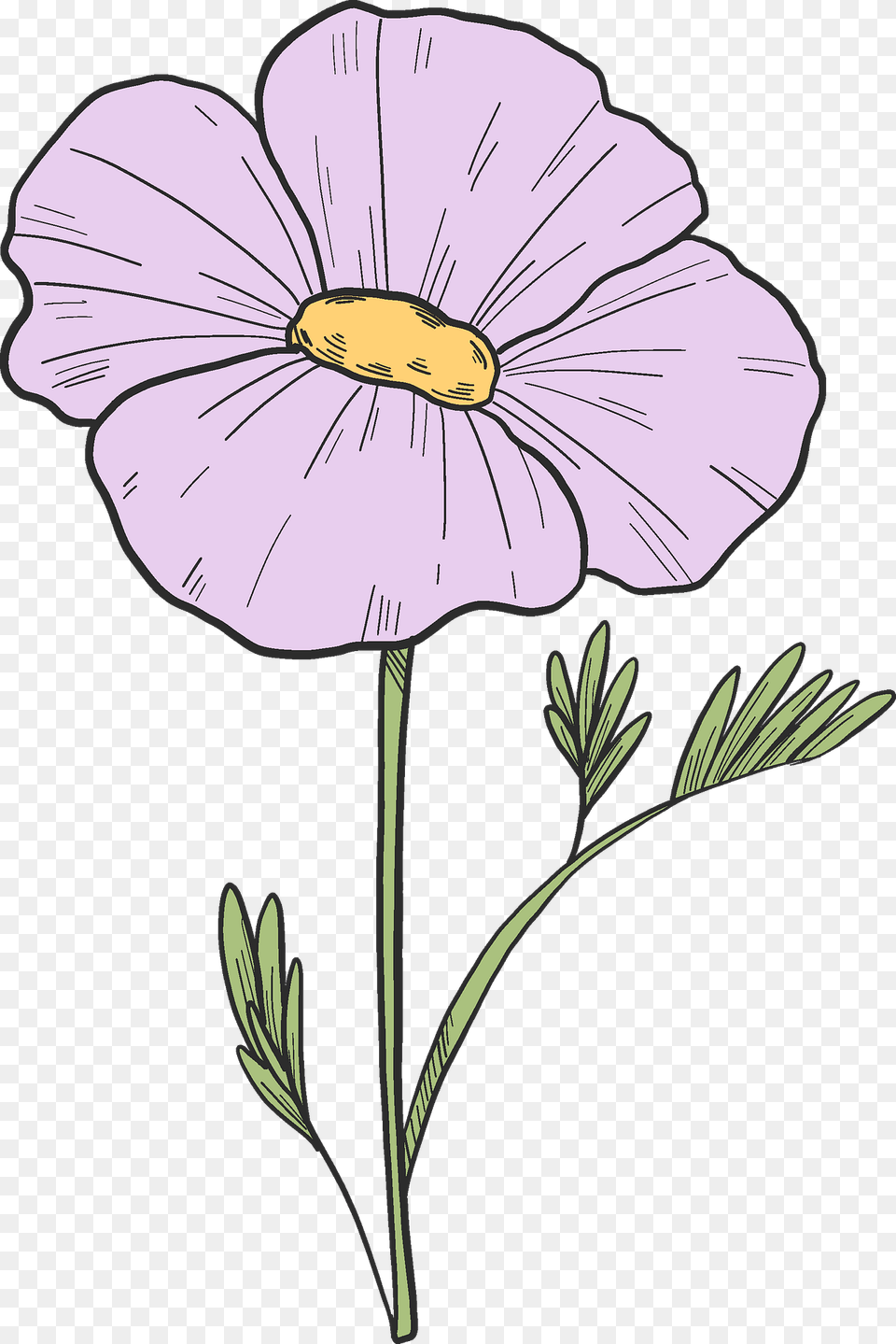 Pink Flower Clipart, Daisy, Plant, Anemone, Flax Free Png Download