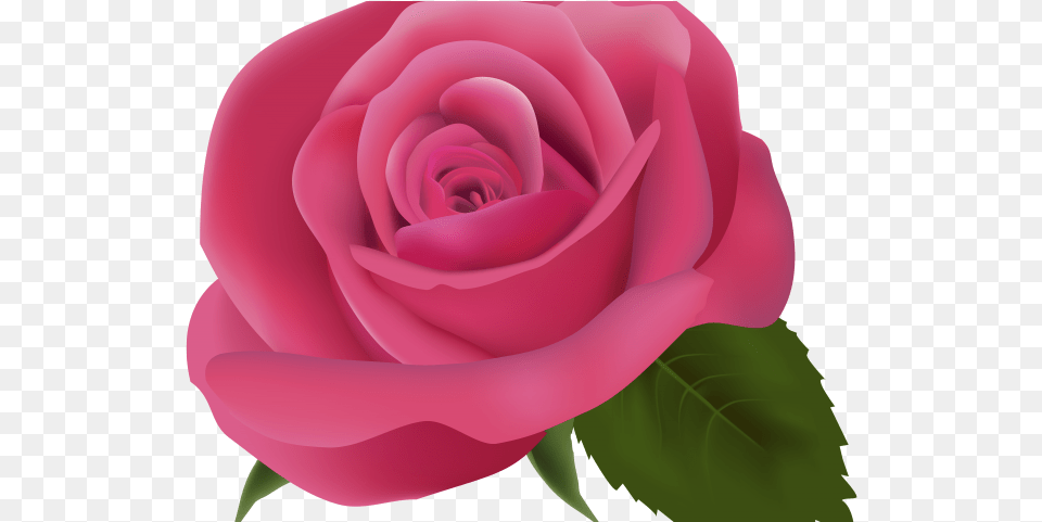 Pink Flower Clipart Emoji Pink Flower On Transparent Background, Plant, Rose Free Png Download