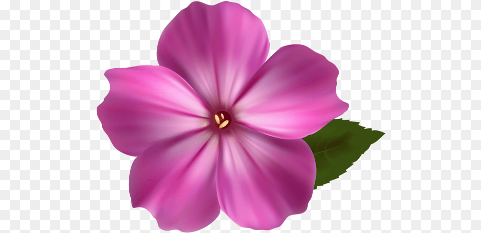 Pink Flower Clipart En 2020 Realistic Flower Clip Art, Anther, Geranium, Petal, Plant Png Image