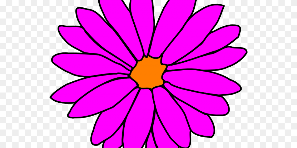 Pink Flower Clipart Girly Flower, Daisy, Plant, Purple, Dahlia Png Image