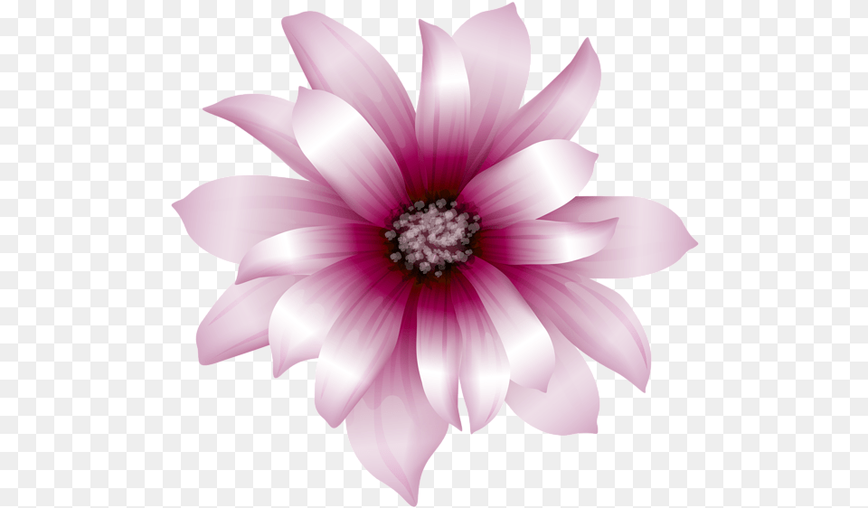 Pink Flower Clipart Large Flower A4 Size, Dahlia, Petal, Plant, Daisy Png