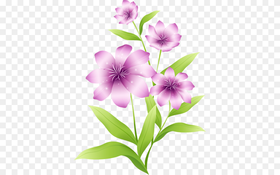 Pink Flower Clipart Large Flower Clip Arts Flowers, Geranium, Plant, Petal Free Png