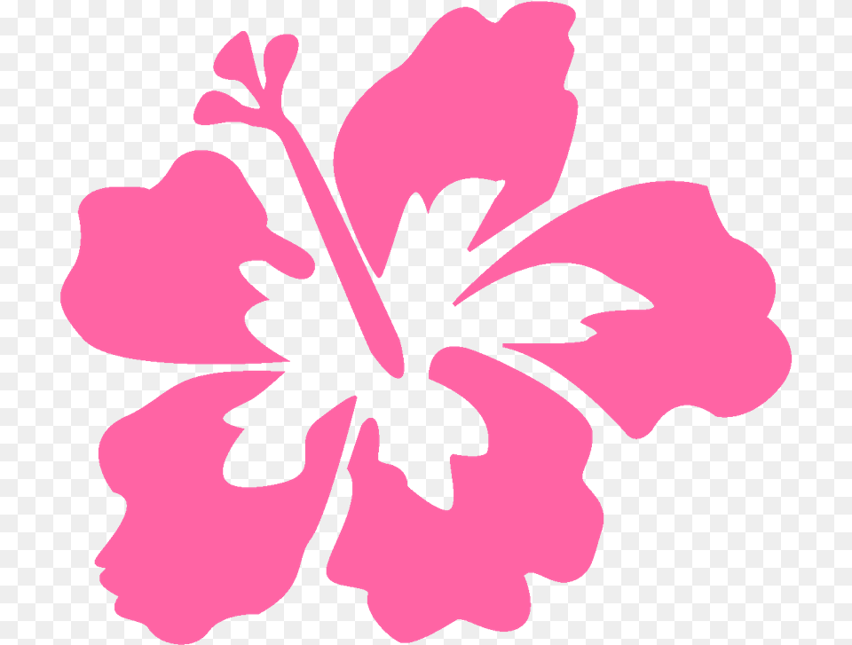 Pink Flower Clipart Moana Clip Art Stock, Hibiscus, Plant, Baby, Person Png