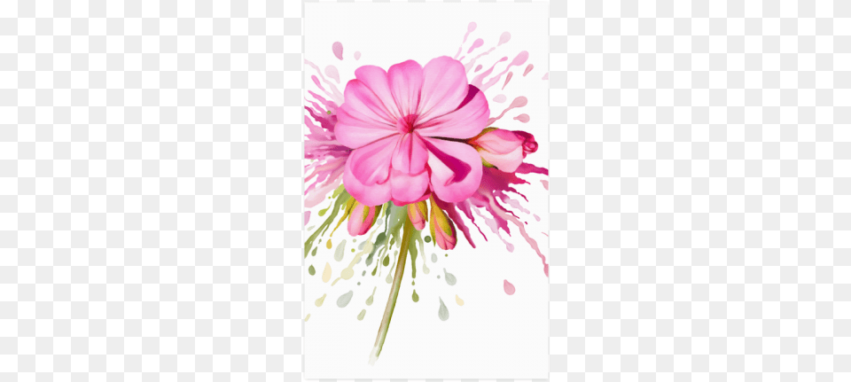 Pink Flower Color Splash Watercolor Poster 2234 Color Eruption Earring Circle Charm, Geranium, Petal, Plant, Art Png Image