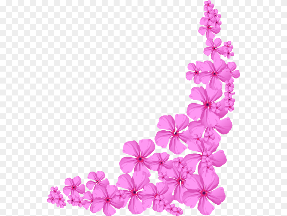 Pink Flower Corner, Geranium, Petal, Plant Free Png Download