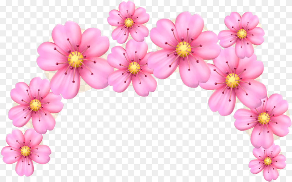 Pink Flower Crown Emoji Pinkfloweremojicrown Remixit Transparent Emoji Flower Crown, Plant, Petal, Geranium, Flower Arrangement Png