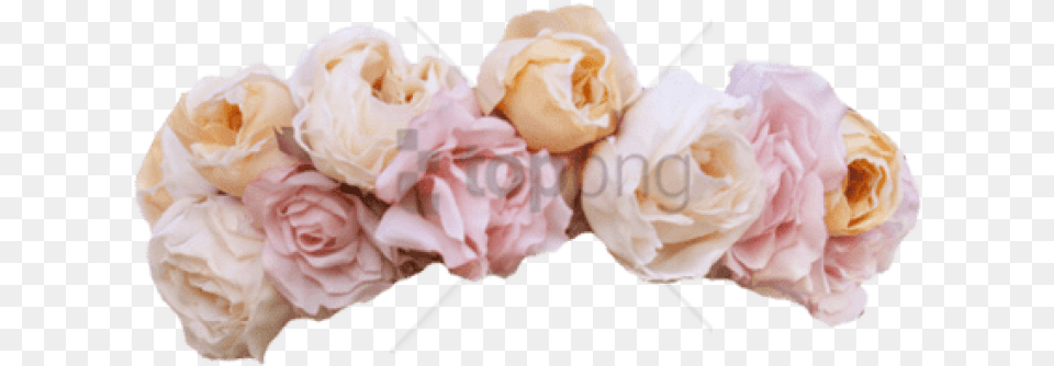 Pink Flower Crown Floral Garden Roses, Flower Arrangement, Flower Bouquet, Plant, Rose Free Png