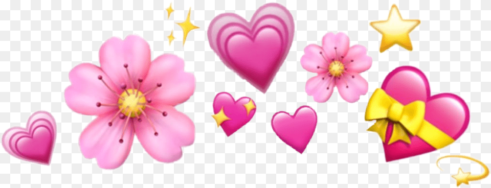 Pink Flower Crown Heart Emoji Crown, Petal, Plant Png Image