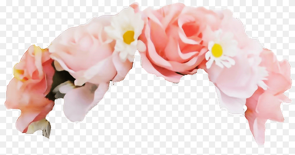 Pink Flower Crown Transparent, Flower Arrangement, Flower Bouquet, Petal, Plant Free Png