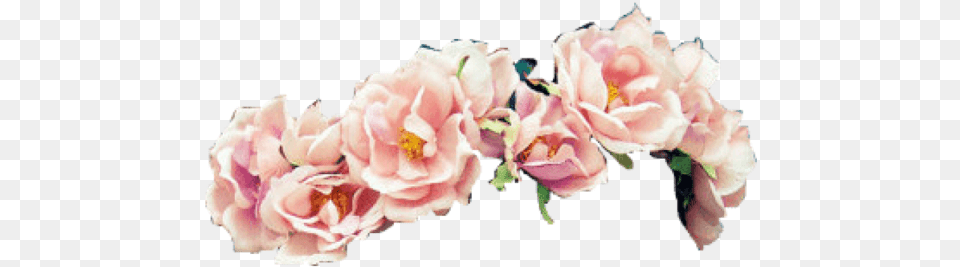 Pink Flower Crown Transparent Images U2013 Free Pink Flower Crown, Petal, Plant, Rose, Flower Arrangement Png Image