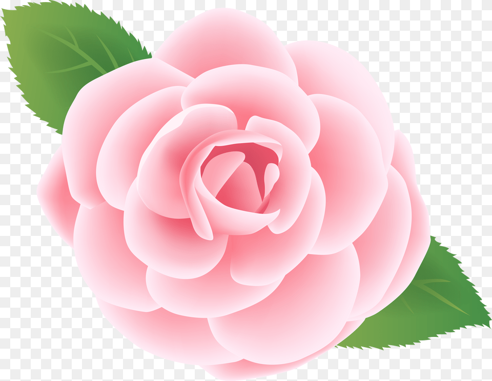 Pink Flower Deco Clip Art Image, Cartoon, Baby, Person Free Png