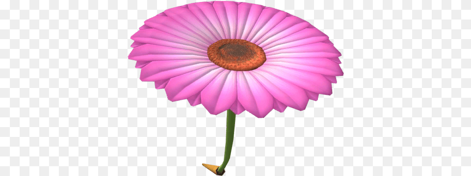 Pink Flower Glider Super Mario Wiki The Mario Encyclopedia Girly, Daisy, Petal, Plant, Dahlia Free Png Download