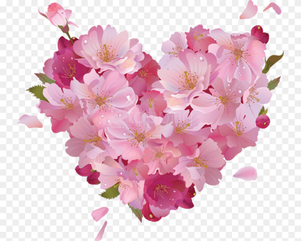 Pink Flower Heart Pink Heart And Flowers, Plant, Petal, Cherry Blossom Free Png Download