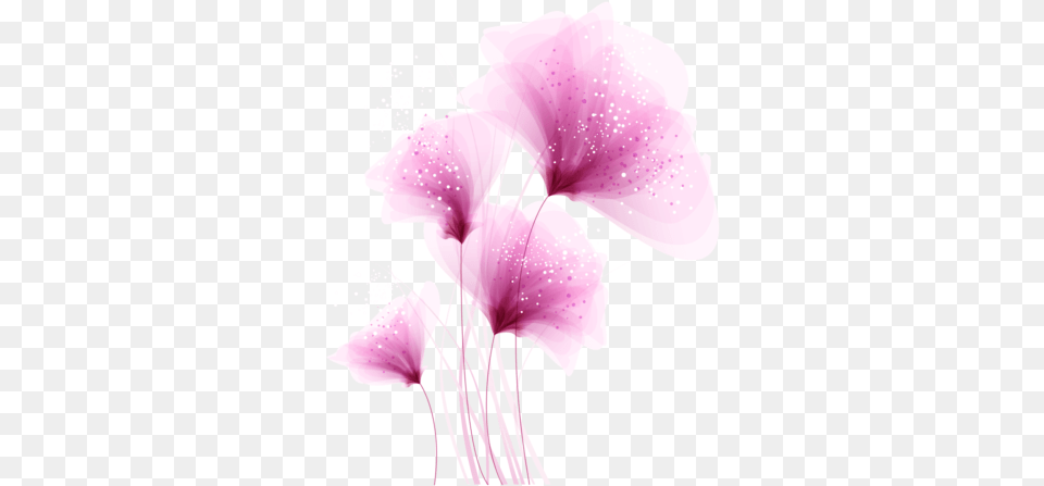 Pink Flower Image Searchpng Iris, Anther, Petal, Plant, Person Free Transparent Png