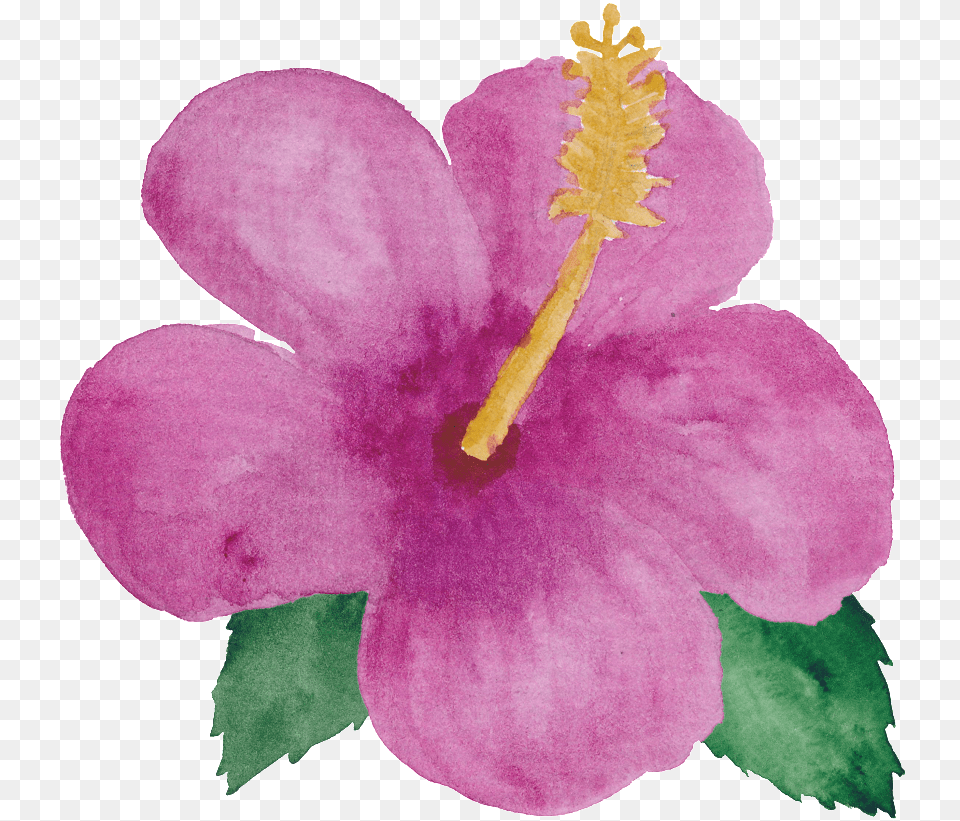 Pink Flower Little Princess Transparent Watercolor Little Flowers, Anther, Plant, Geranium, Hibiscus Free Png