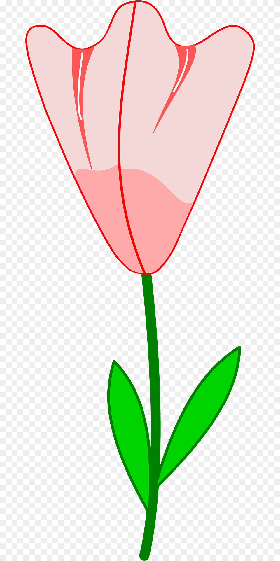 Pink Flower On The Stem Clipart, Petal, Plant, Rose, Tulip Png Image
